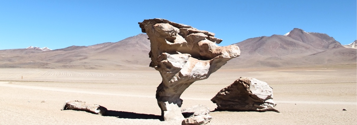 Tree Rock Uyuni